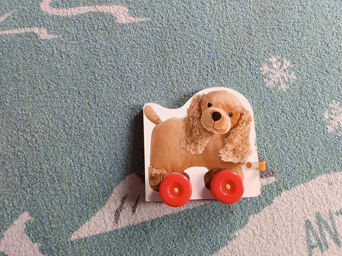 Livre mon petit chien