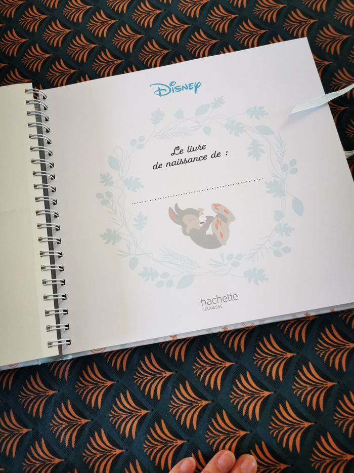 Livre naissance Disney - photo numéro 3
