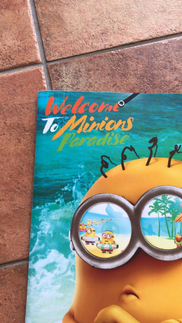 Pochette minions - photo numéro 2