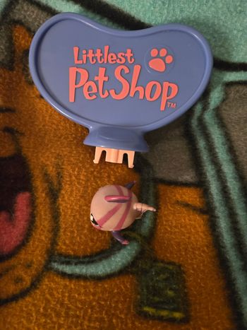 Petshop poisson 🐟