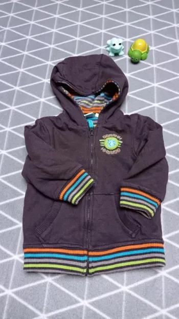 🦁Veste sweat zippée à capuche, Disney, 12 mois