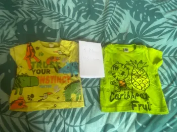 Lot de 2 t -shirts manche courte taille 3 mois