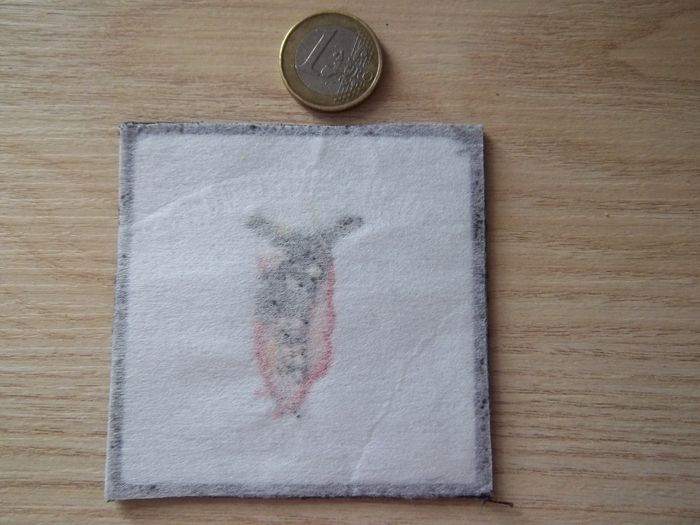 écusson militaire 9e régiment de chasseurs parachutistes dissous en 1999 - photo numéro 2