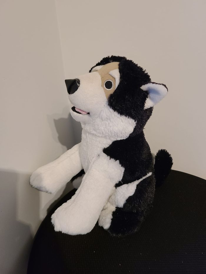 cale porte - photo numéro 2