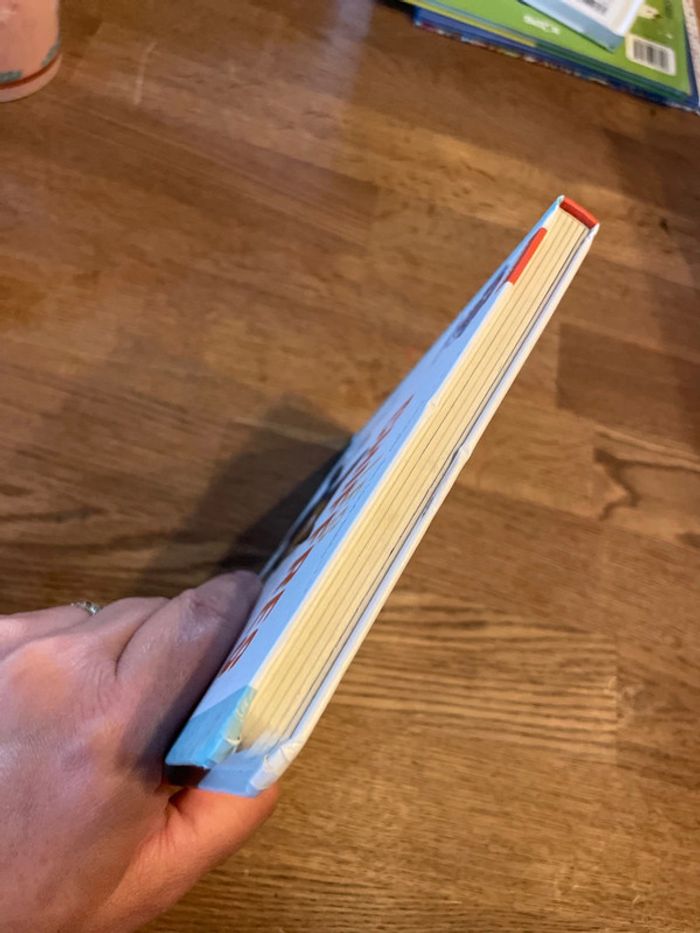 Livre cartonné Pat Patrouille L’imagier des tout petits Les chiffres Paw Patrol - photo numéro 5