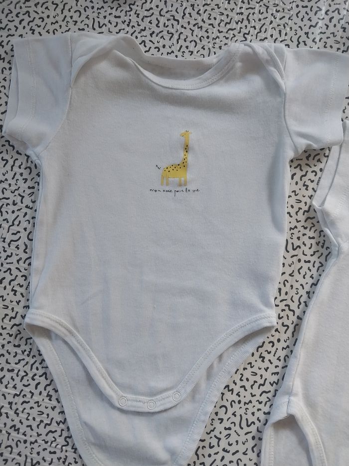 Lot 2 bodies bébé – Taille 9 mois – Mots d’enfants - photo numéro 2