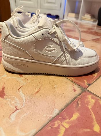 Basket Lacoste blanche