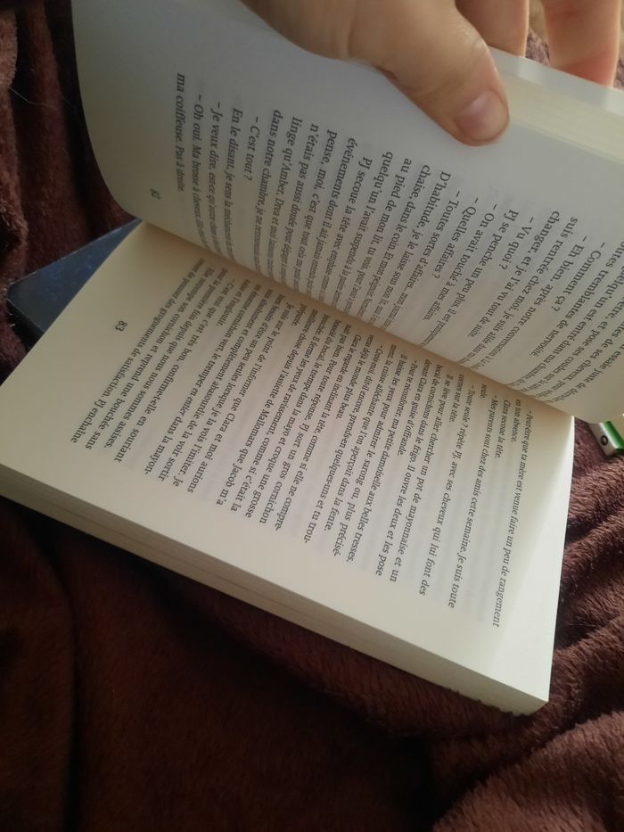 Tome 1 et 3 Laurie farine stolarz gris secret bleu cauchemar - photo numéro 7