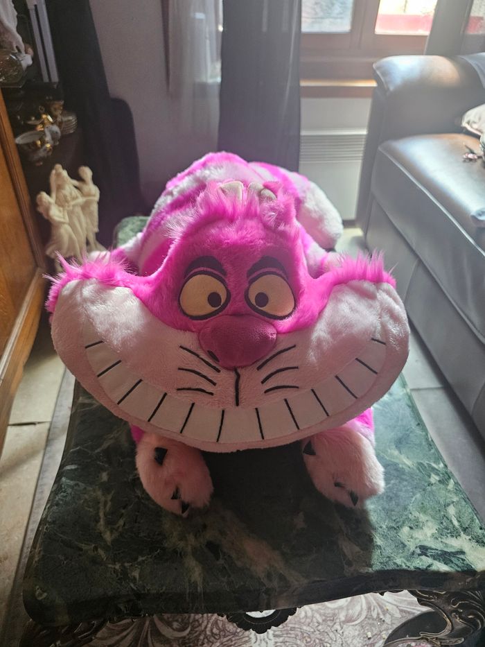 Chat cheshire - photo numéro 3