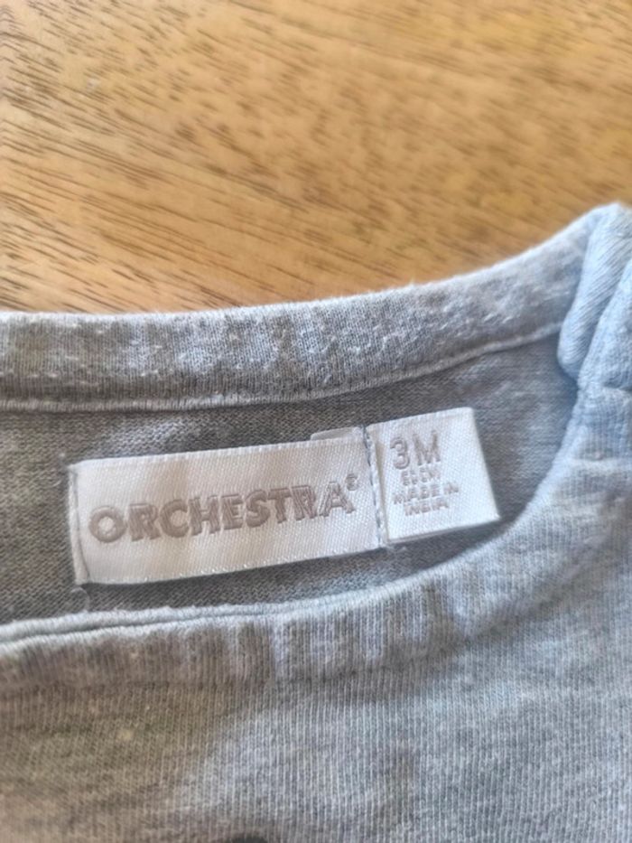 Pulls 3 mois orchestra - photo numéro 5