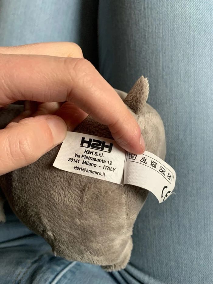 Gloria l’hippopotame de Madagascar - photo numéro 7