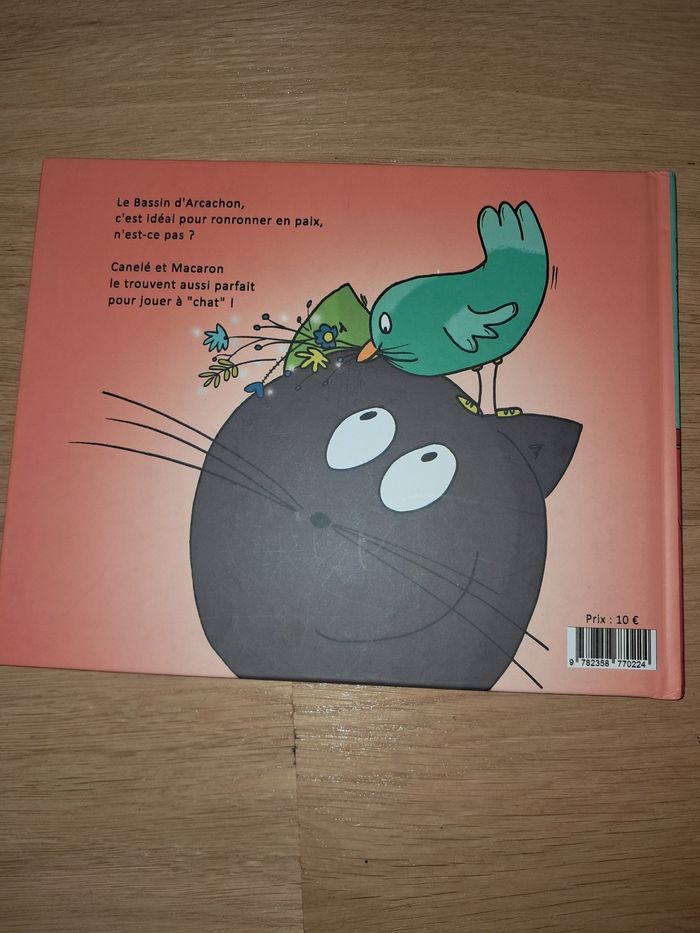 Ronron sur le Bassin d'Arcachon - photo numéro 2