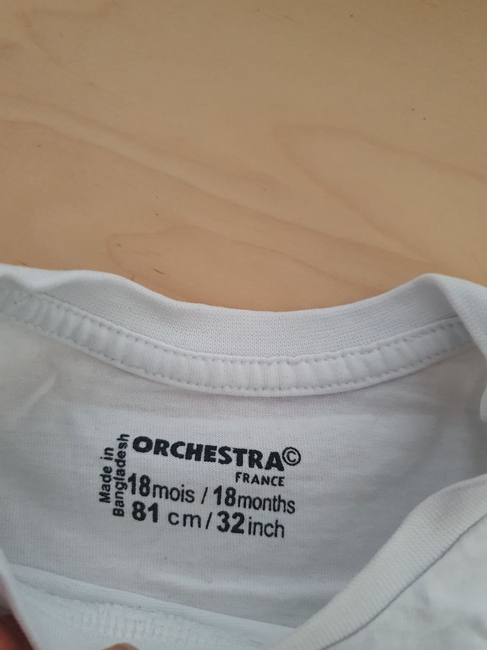 Tee shirt - photo numéro 2