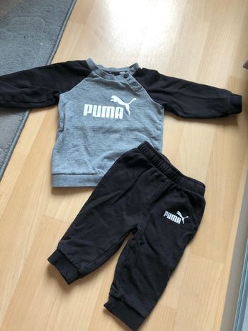 Ensemble puma