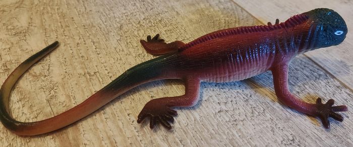 lot de lézards et dragon - photo numéro 10