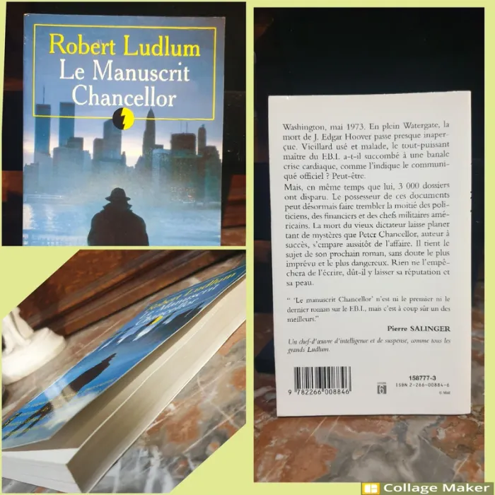 📚 Robert Ludlum - 9 romans 📚 - photo numéro 6
