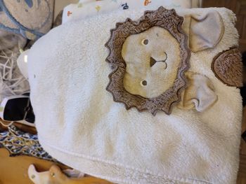 Couverture polaire lion