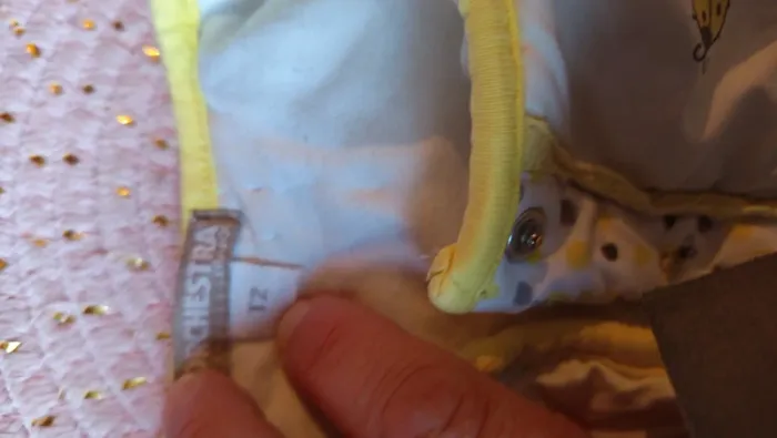 Turbulette orchestra mixte T2 - photo numéro 10