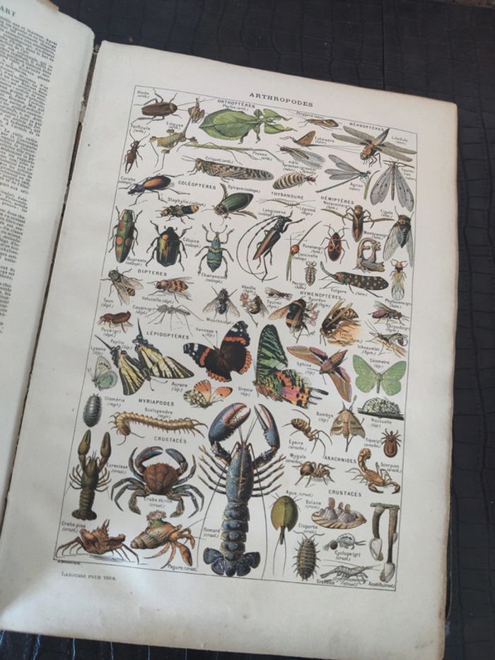 Encyclopédie Larousse illustré - Livre ancien - photo numéro 3