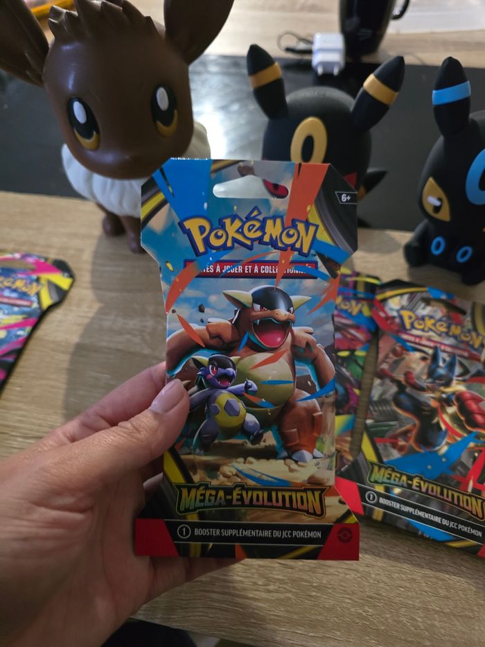 Pokemon megaEvolution - photo numéro 3