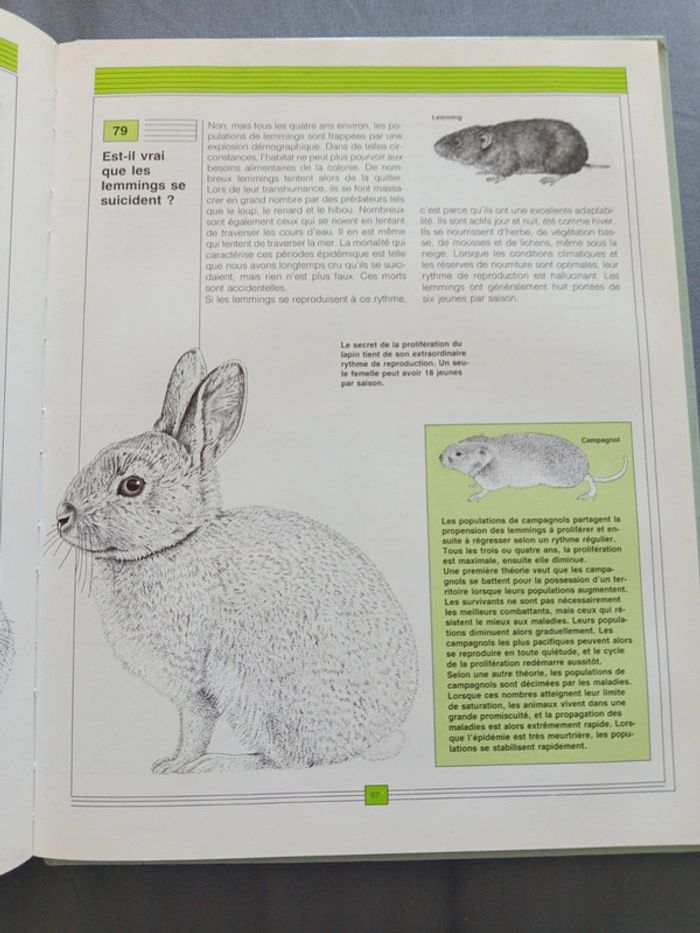 Livre sur la nature - photo numéro 4