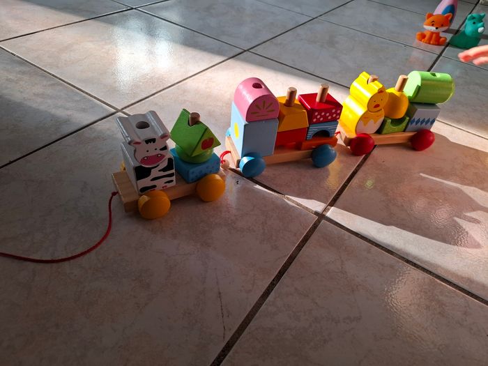 Train bois - photo numéro 4