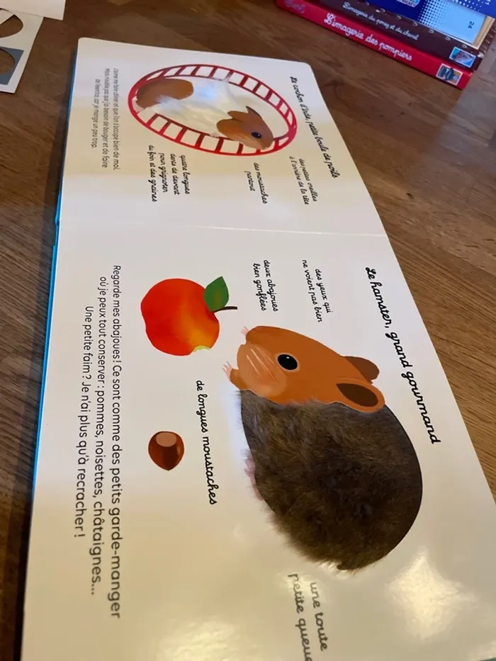 Livre cartonné Mes docs à toucher Les animaux familiers - photo numéro 9