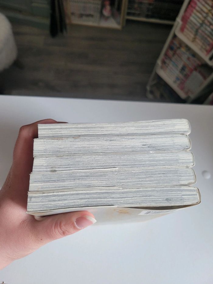 Lot 5 premiers tomes du manga rozen maiden saison 1 - photo numéro 16