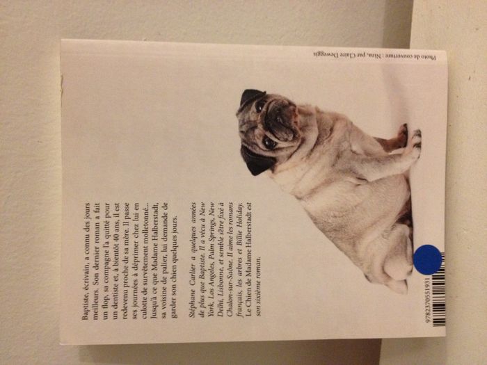 Carlin le chien de madame Halberstadt Stéphane Carlier - photo numéro 5