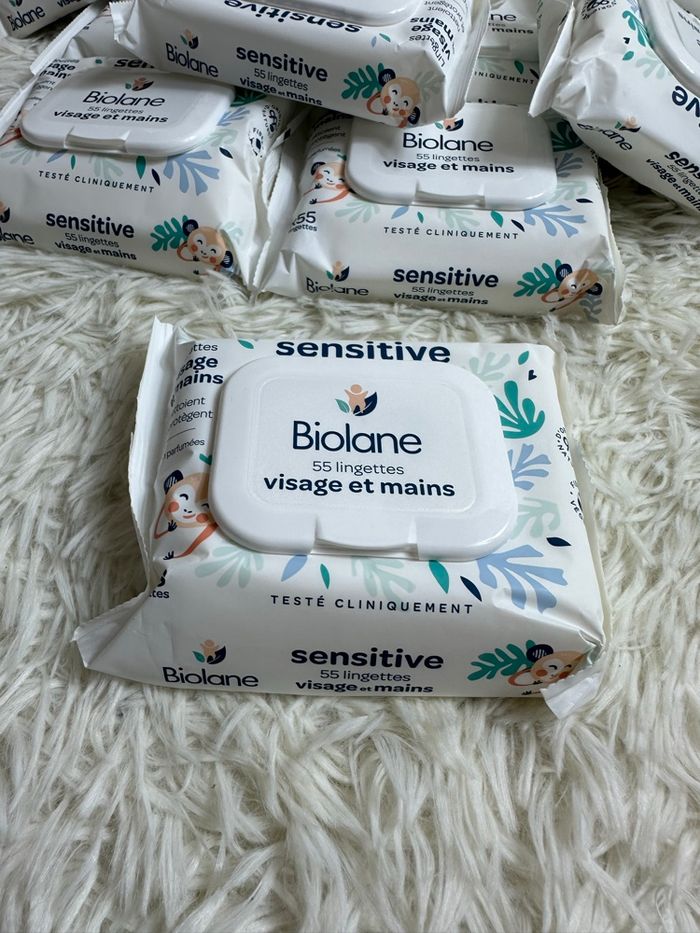 Lot de 12 paquets de 55 lingettes main et visage Biolane - photo numéro 2
