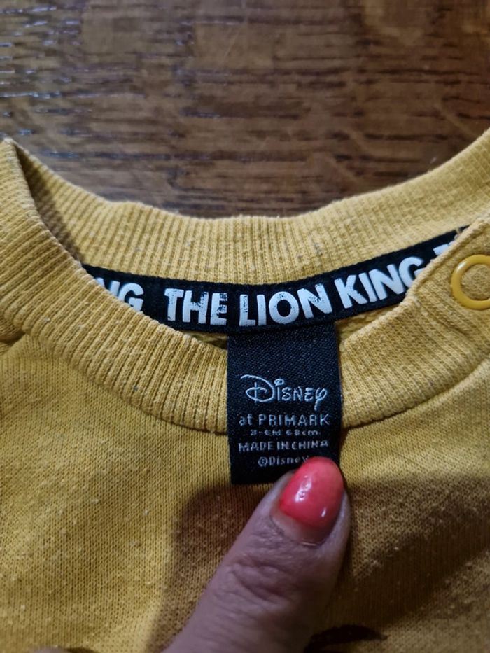 Pull simba - photo numéro 2