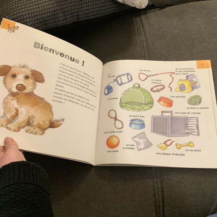 Livre notre nouveau chien - photo numéro 4