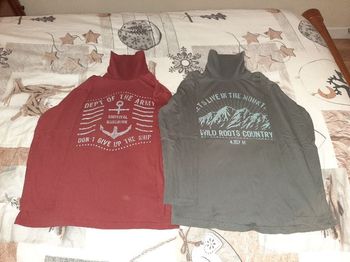 Vend 2 sous pull garçon