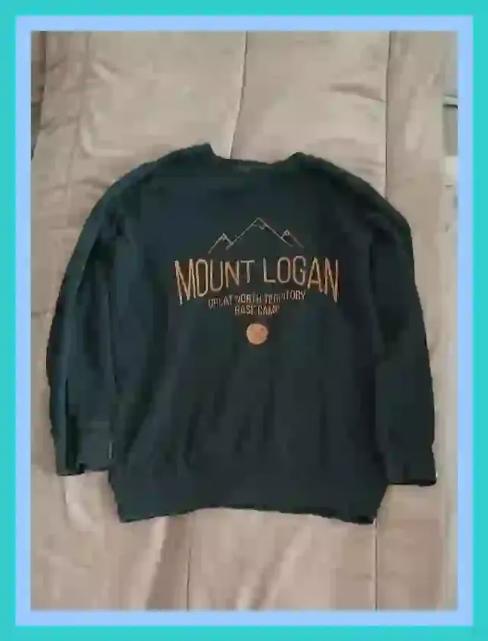 Sweat sans capuche la Redoute vert sapin garçon 14 ans - photo numéro 8