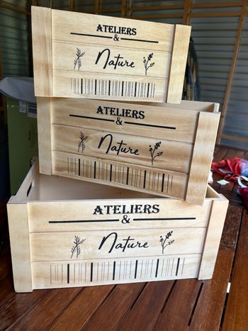Lot de 3 caisses décoratives en bois