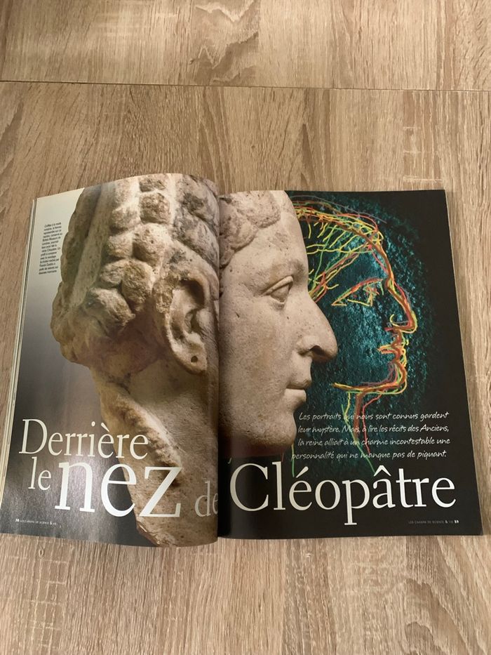 Magazine les cahiers de science & vie la fin des pharaons - photo numéro 7