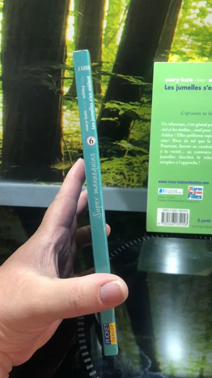 Livres les jumelles s’en mêlent tomes 5 et 6 - photo numéro 3