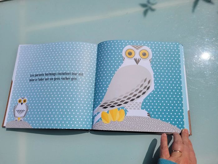 Livre animé 🦭 La Famille Pôles 🐧 - photo numéro 8
