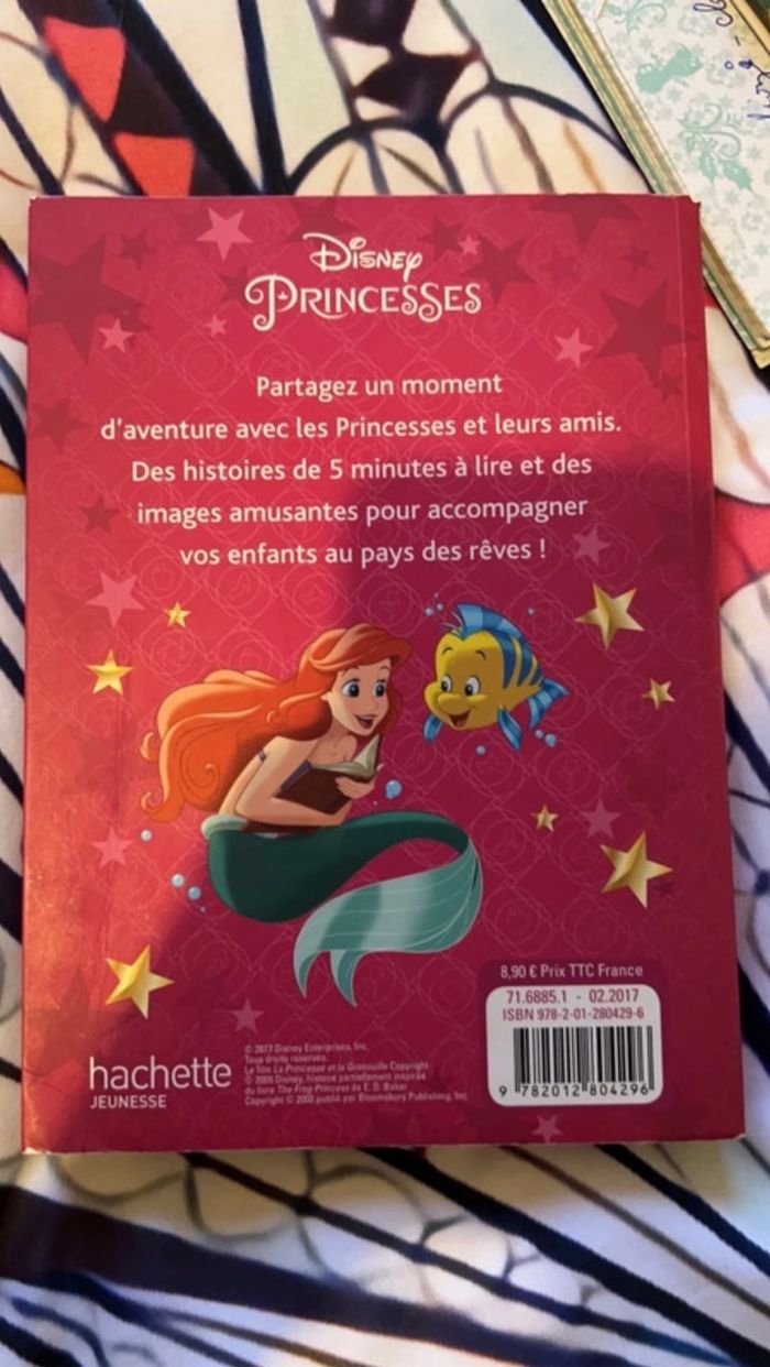 Livre histoire de princesse - photo numéro 2