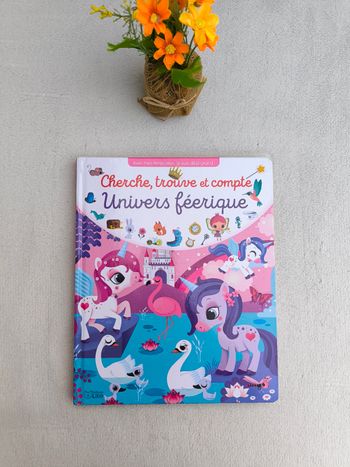 Livre Cherche, trouve et compte Lito