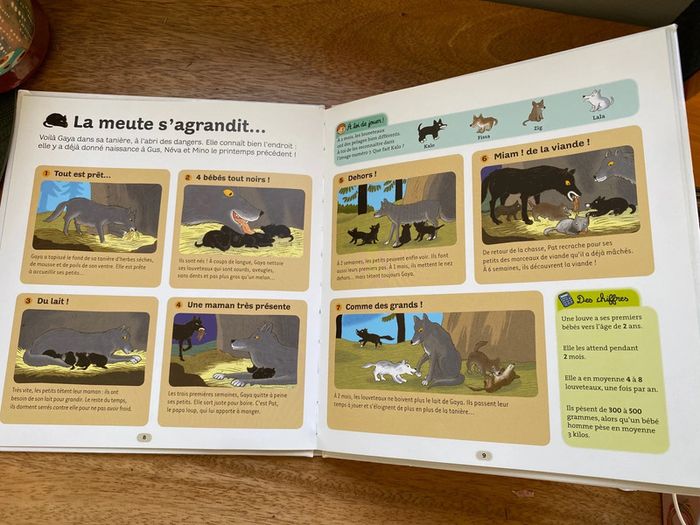 Dokeo le loup - photo numéro 4