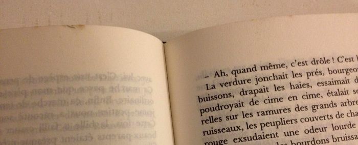 Livre le soir du vent fou Michel Jeury éditions Robert Laffont - photo numéro 8
