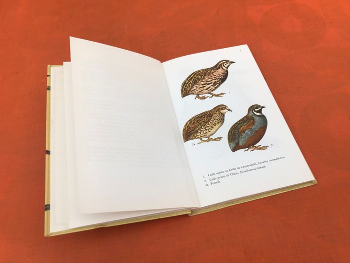 C. Mandahl-Barth et J.Dorst  Oiseaux de Cage et de Volière - photo numéro 3