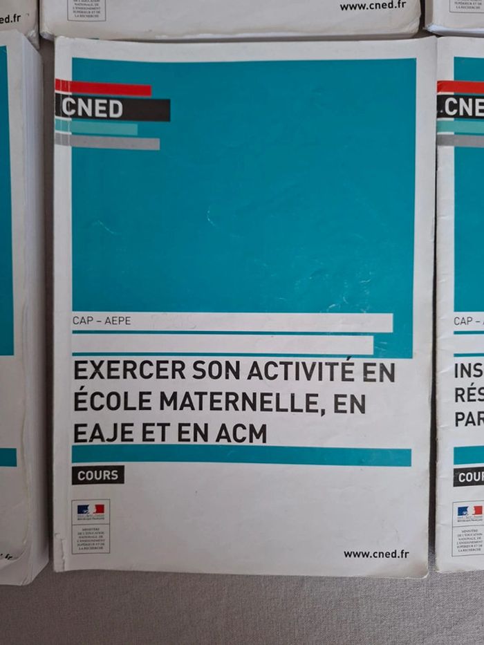 Lot de livres CNED Cap Aepe - photo numéro 4