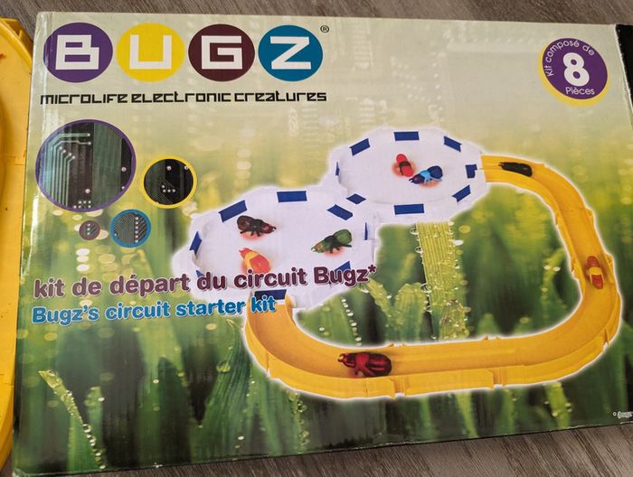 Circuit insectes - photo numéro 2