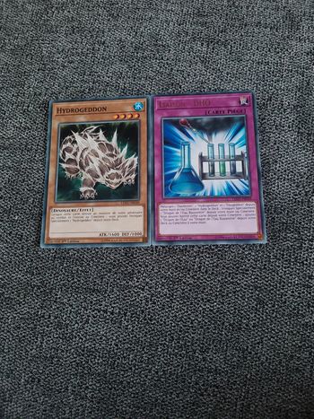 2 cartes yu-gi-oh