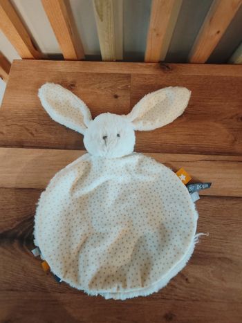 Lapin blanc rond tape à l'oeil