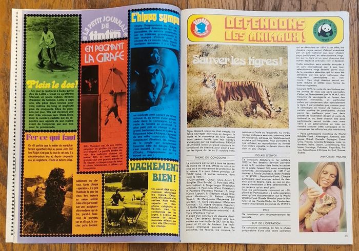 Ancien magazine Tintin n°37 l'hebdotimiste poster Brigitte bardot 1973 vintage - photo numéro 10