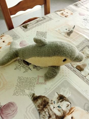 Peluche dauphin