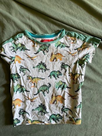 Tee shirt dinosaures